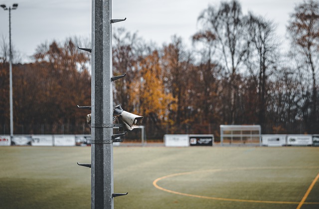 名古屋鲸八 名古屋鲸八
