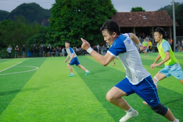 和场上视野 和场上视野