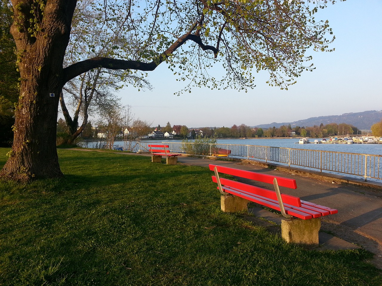 书写了新的 书写了新的