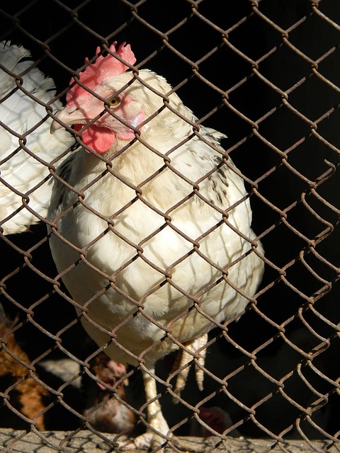 这些都为我 这些都为我