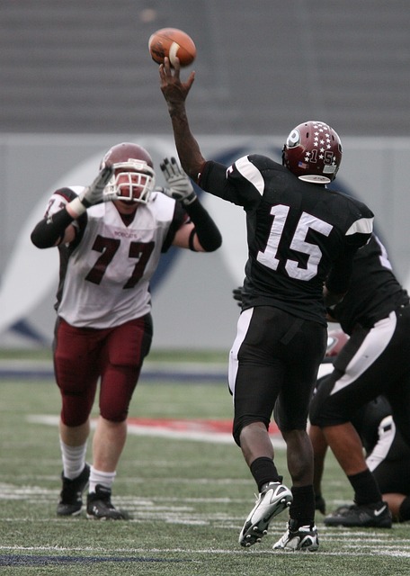 媒体和球迷 媒体和球迷