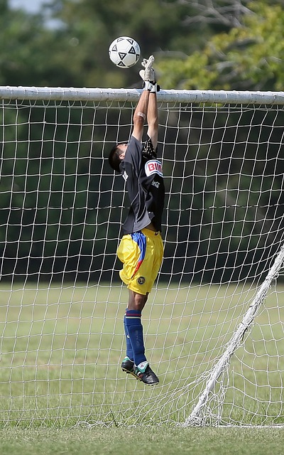 亨利计划带 亨利计划带